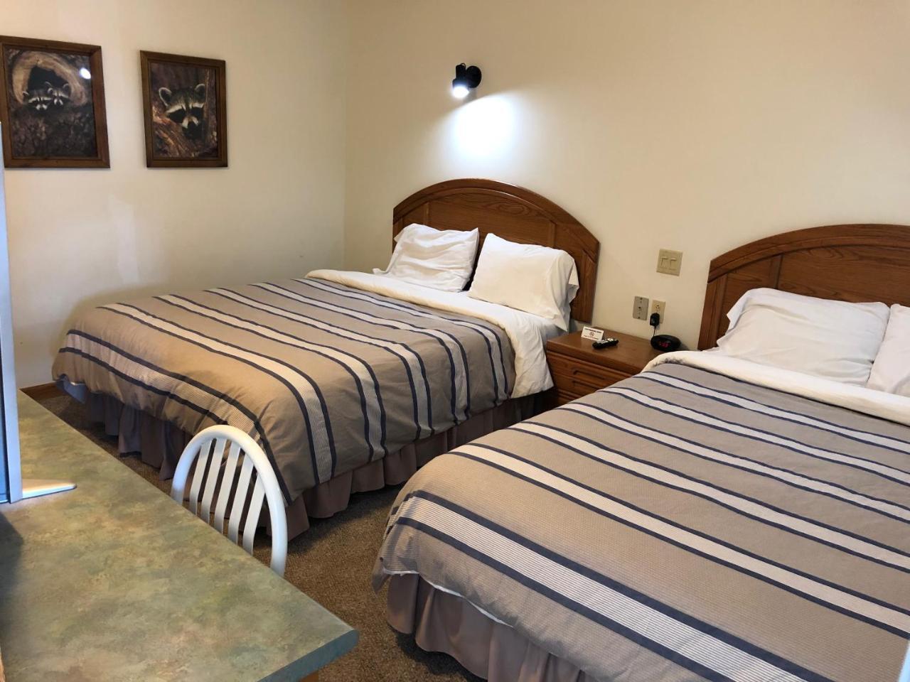 Village Inn Motel Chatham 외부 사진